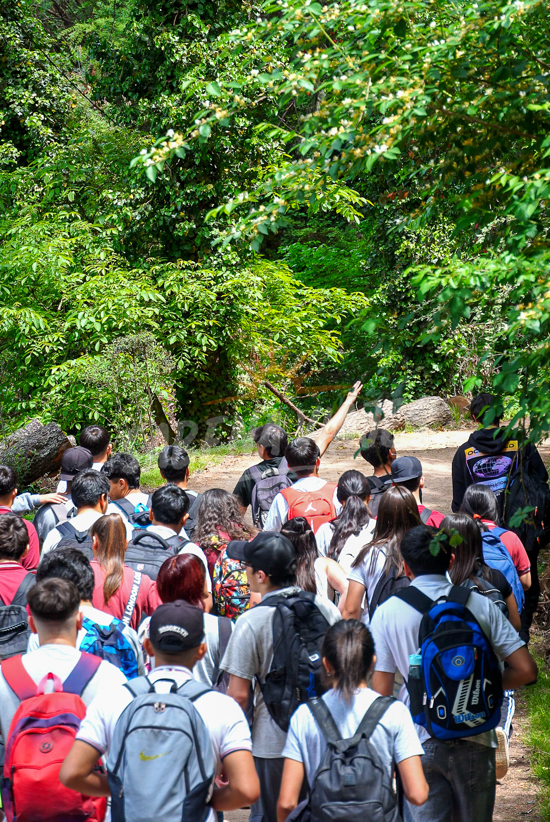 Imagen de la excursión 8