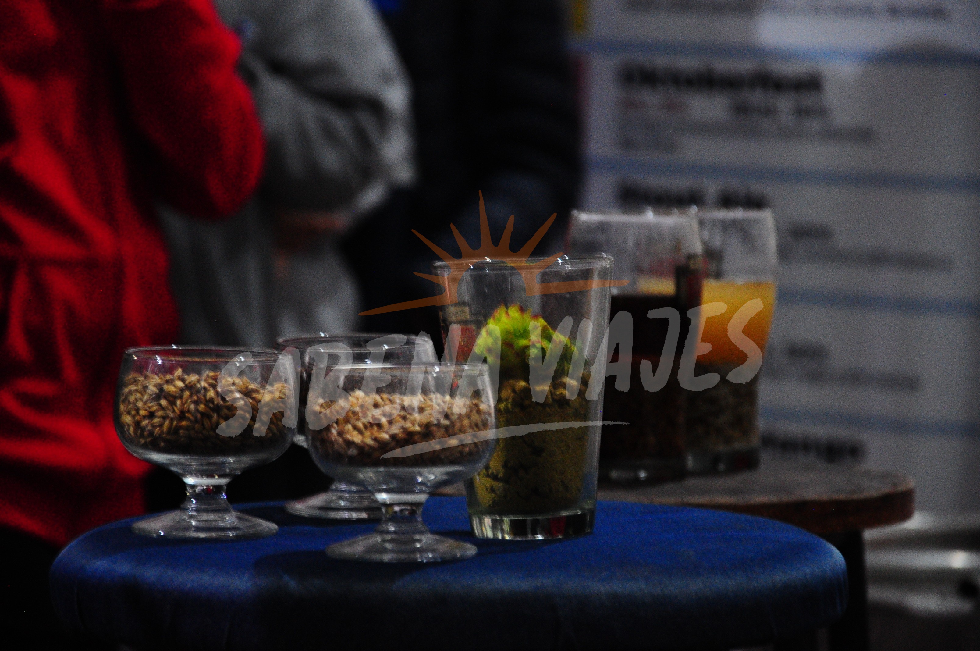 Imagen de la excursión 4