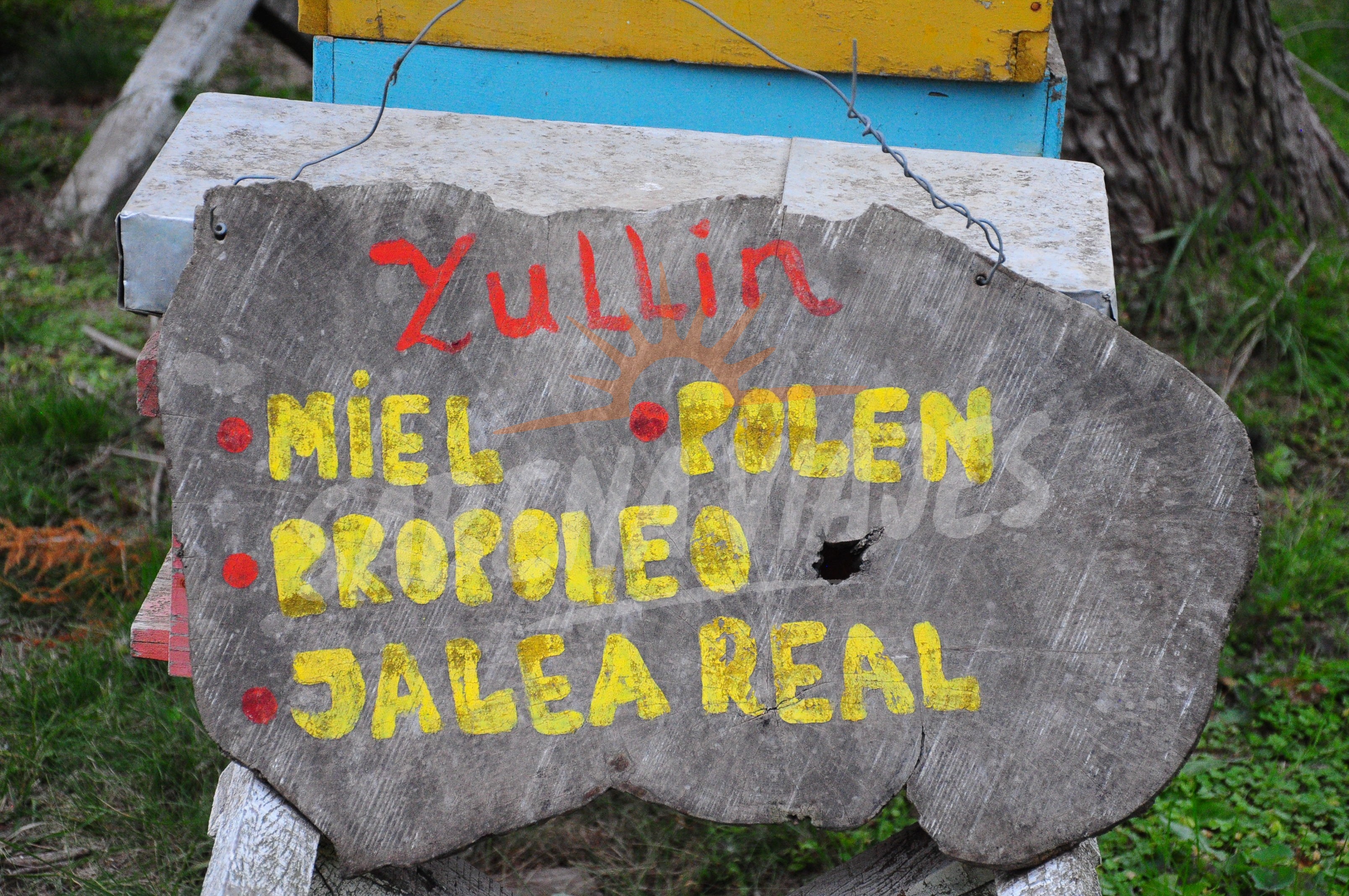 Imagen de la excursión 6