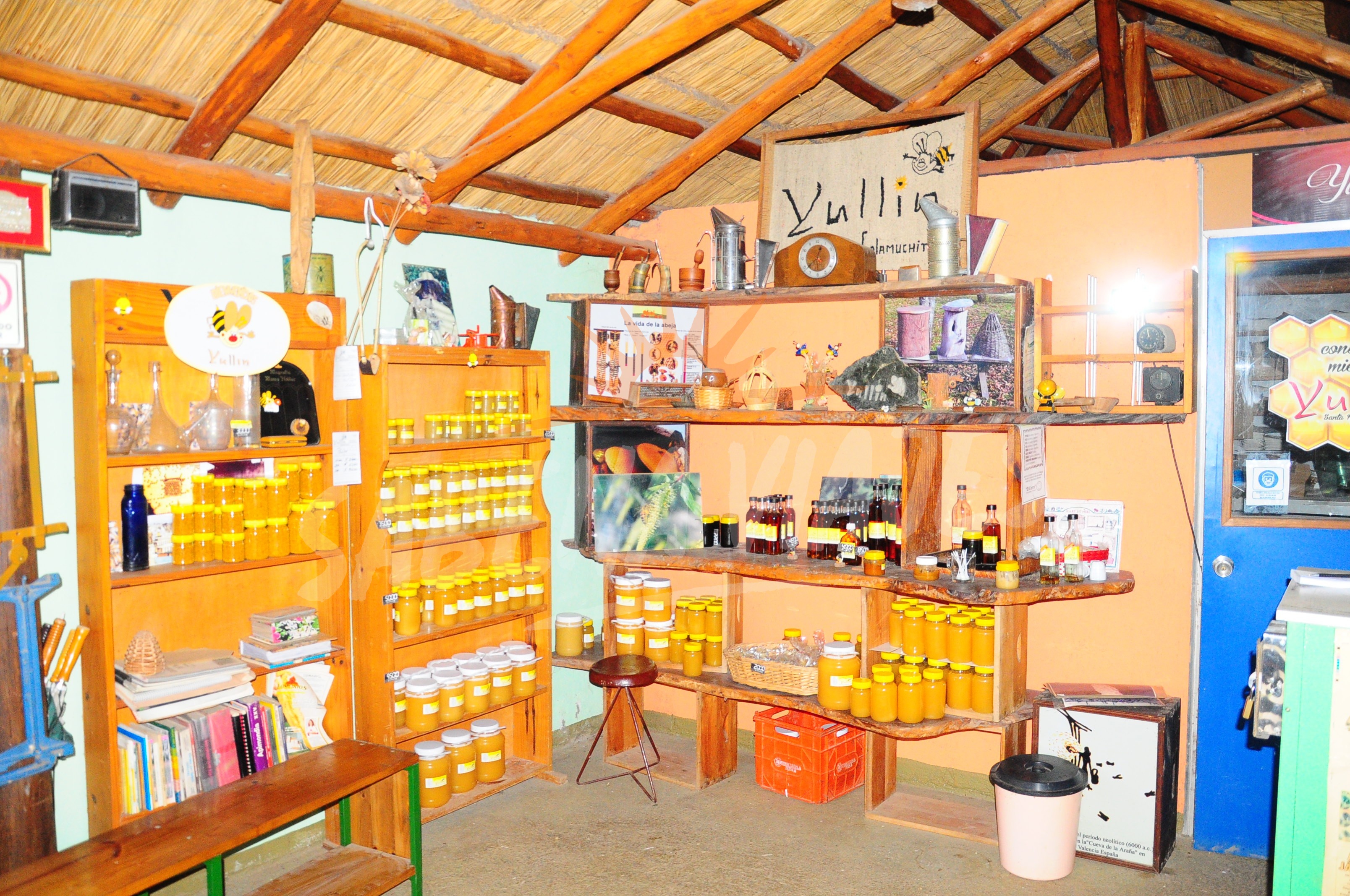 Imagen de la excursión 9