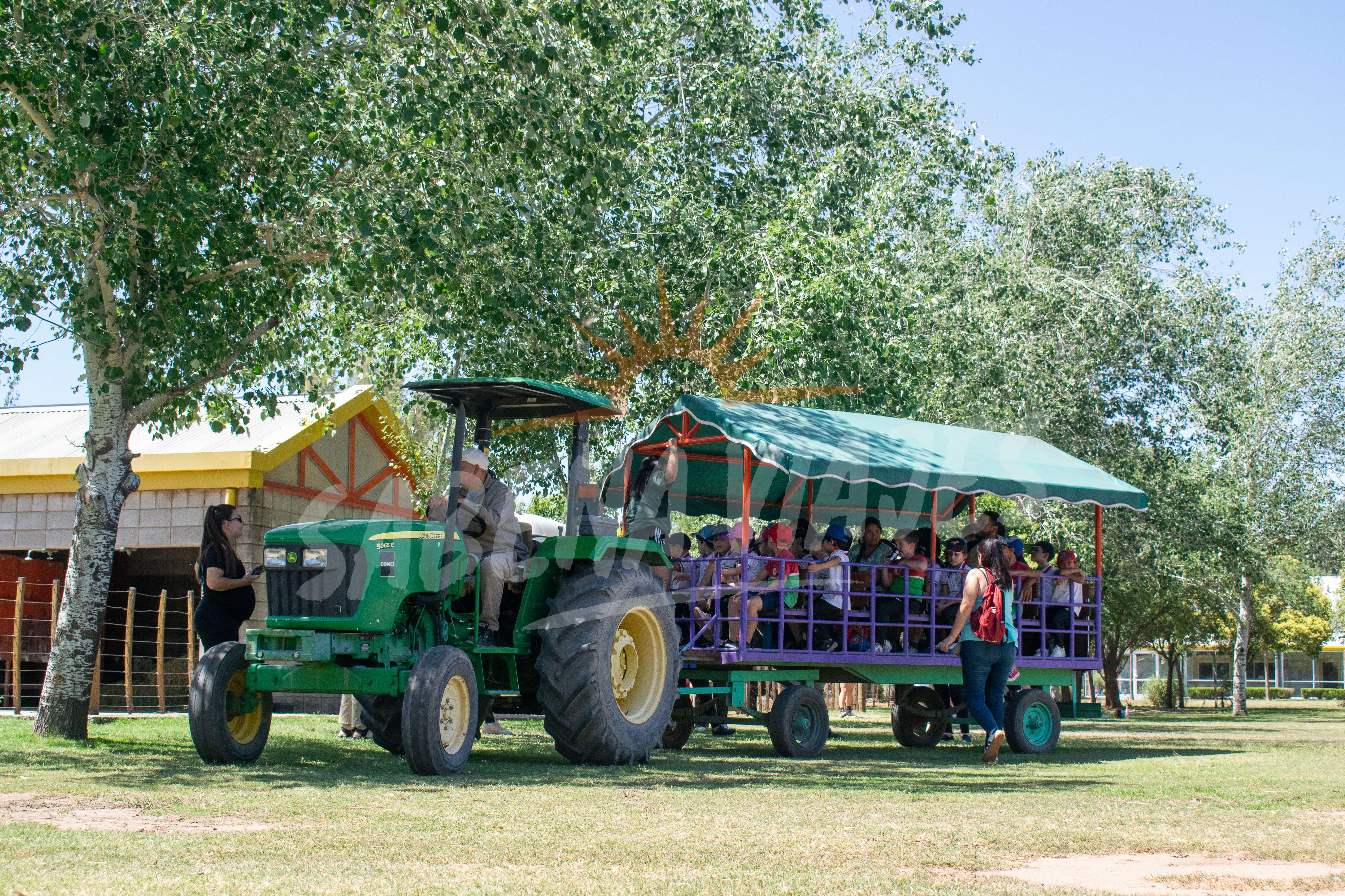 Campo y Ciudad - Opción 1