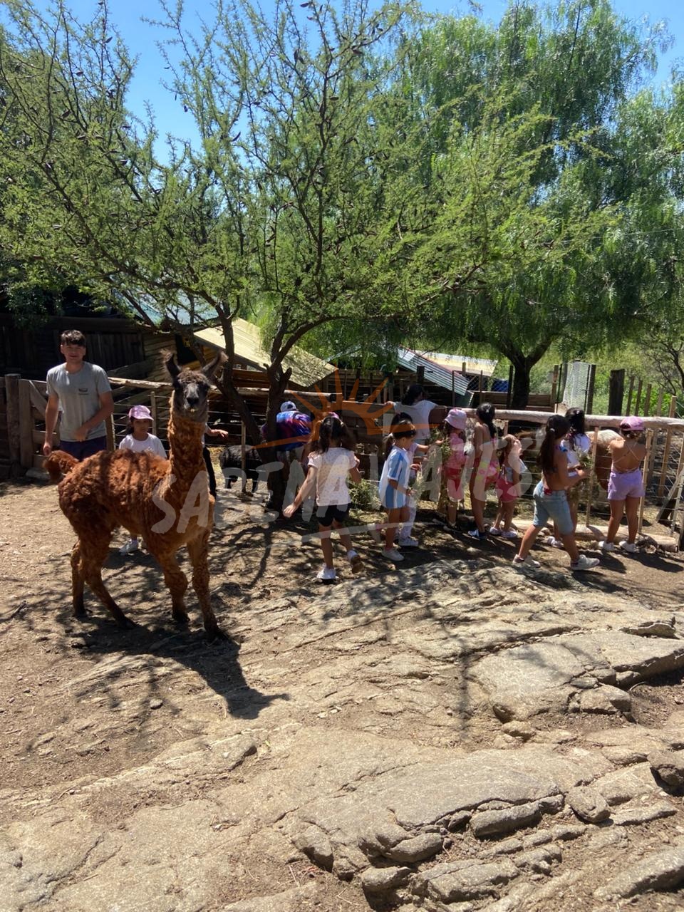 Imagen de la excursión 10