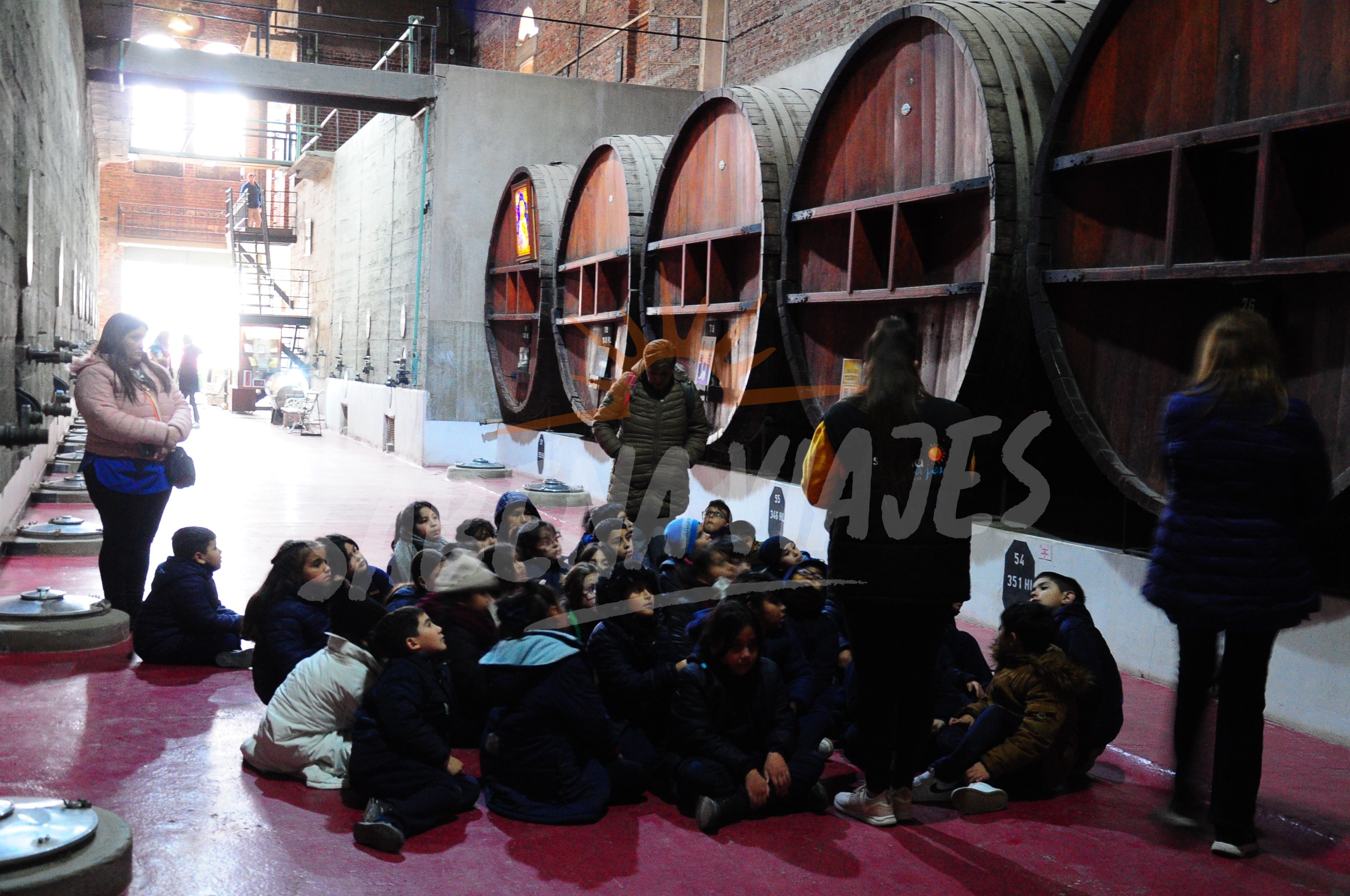 Sector Productivo de Caroya