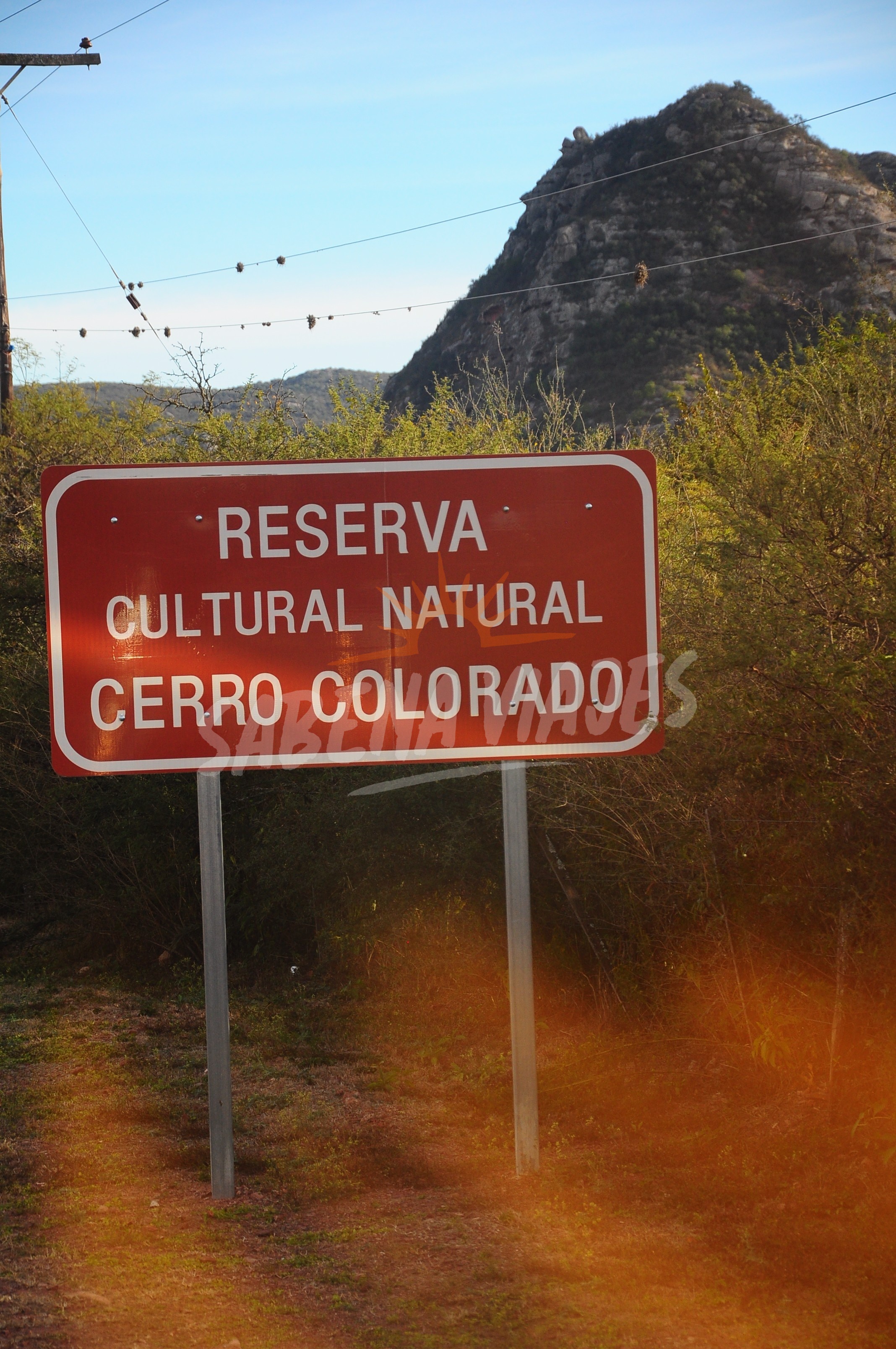 Foto de la excursión 1