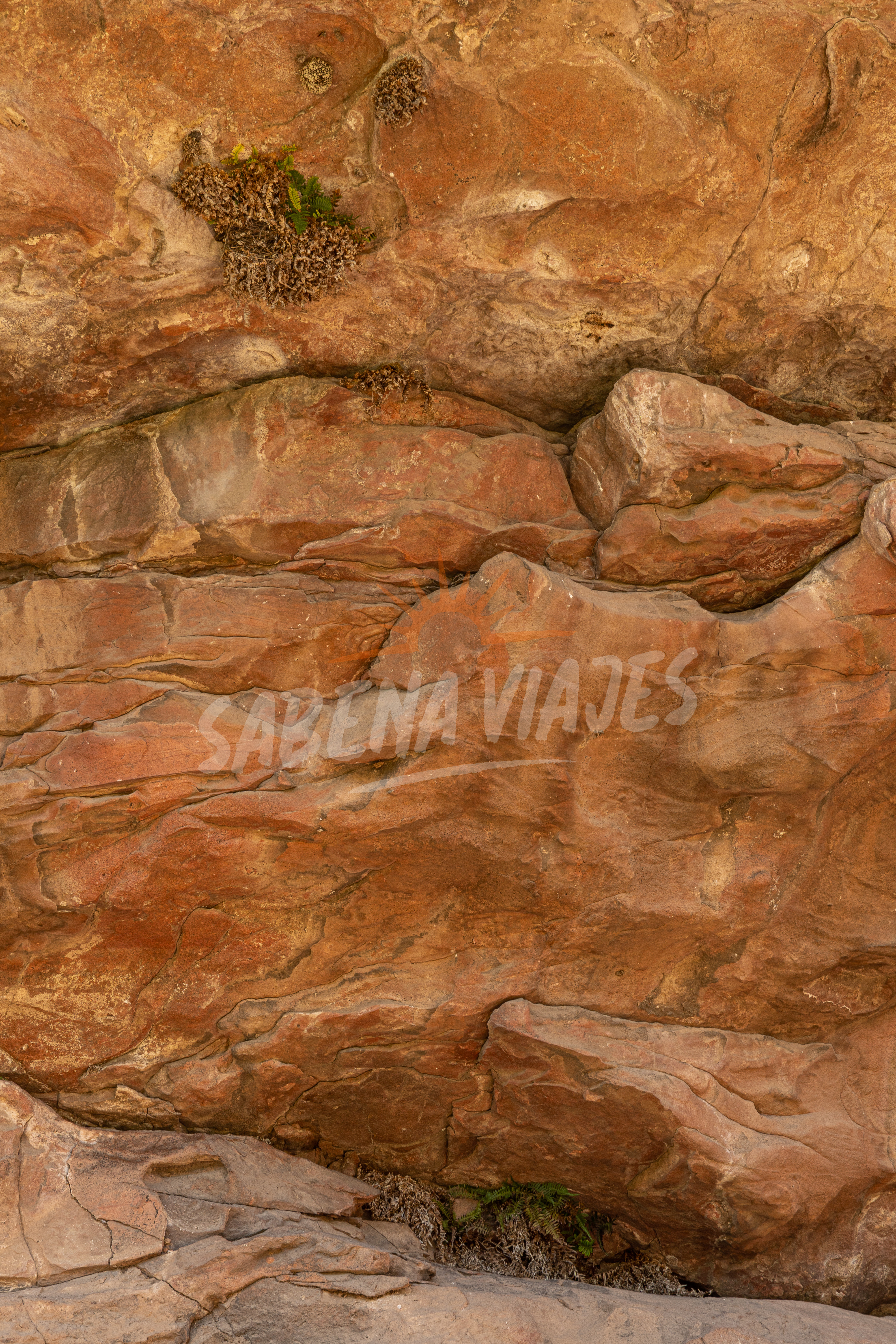 Imagen de la excursión 6