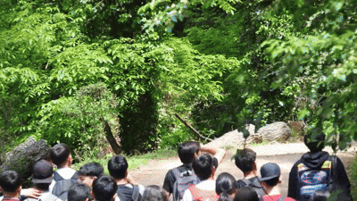 Nuestra modalidad de trabajo