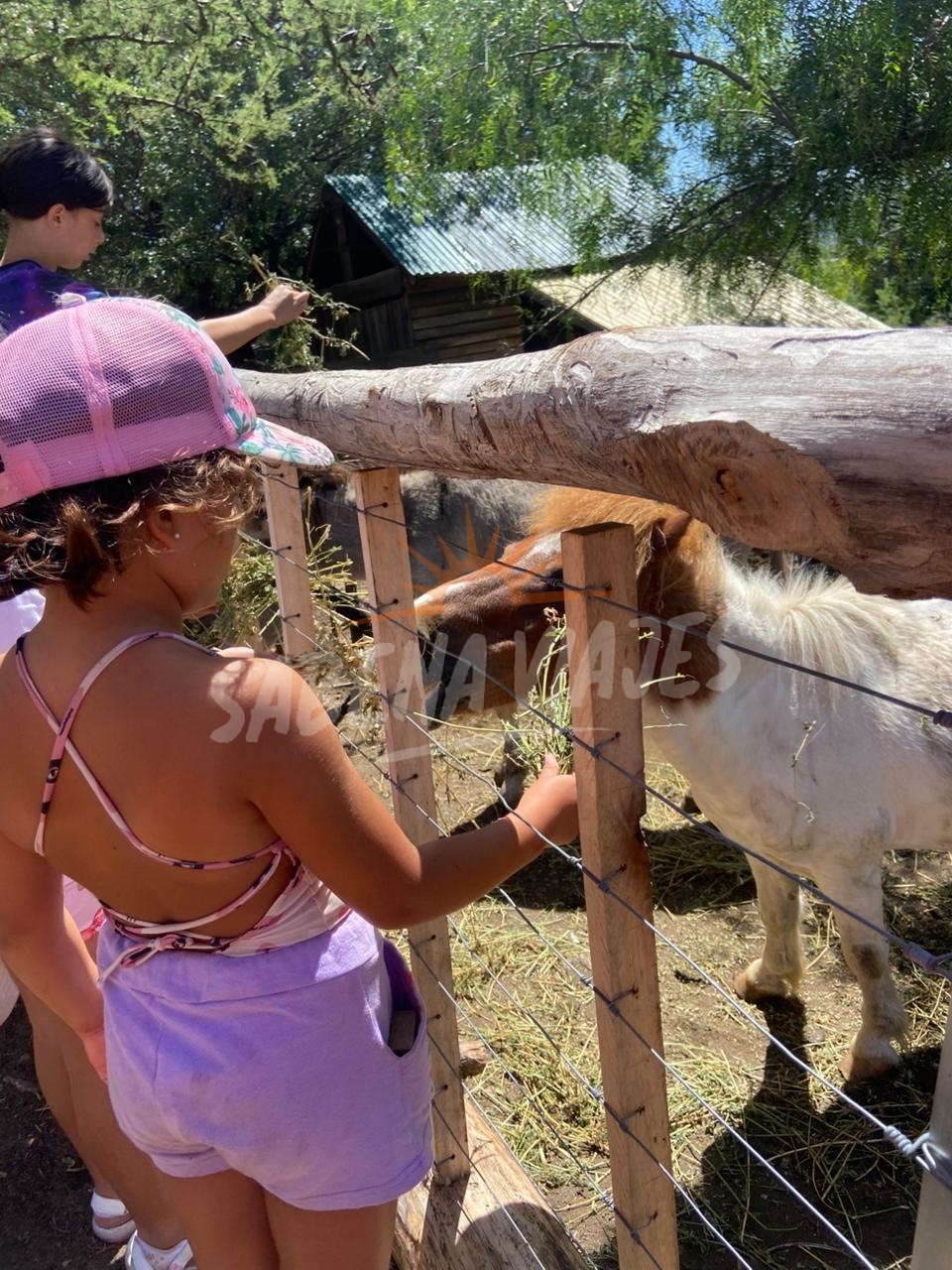 Imagen de la excursión 5