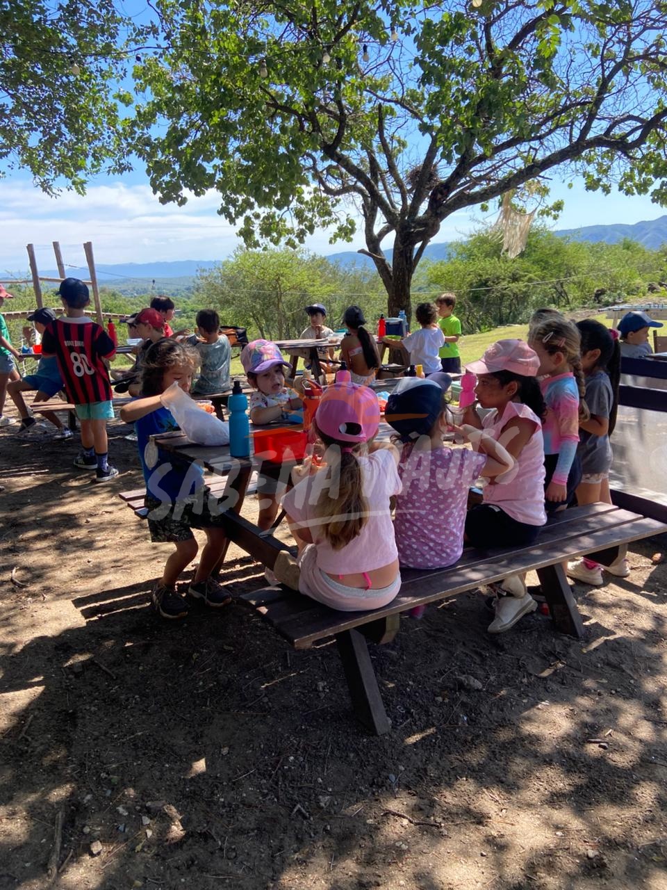 Imagen de la excursión 7