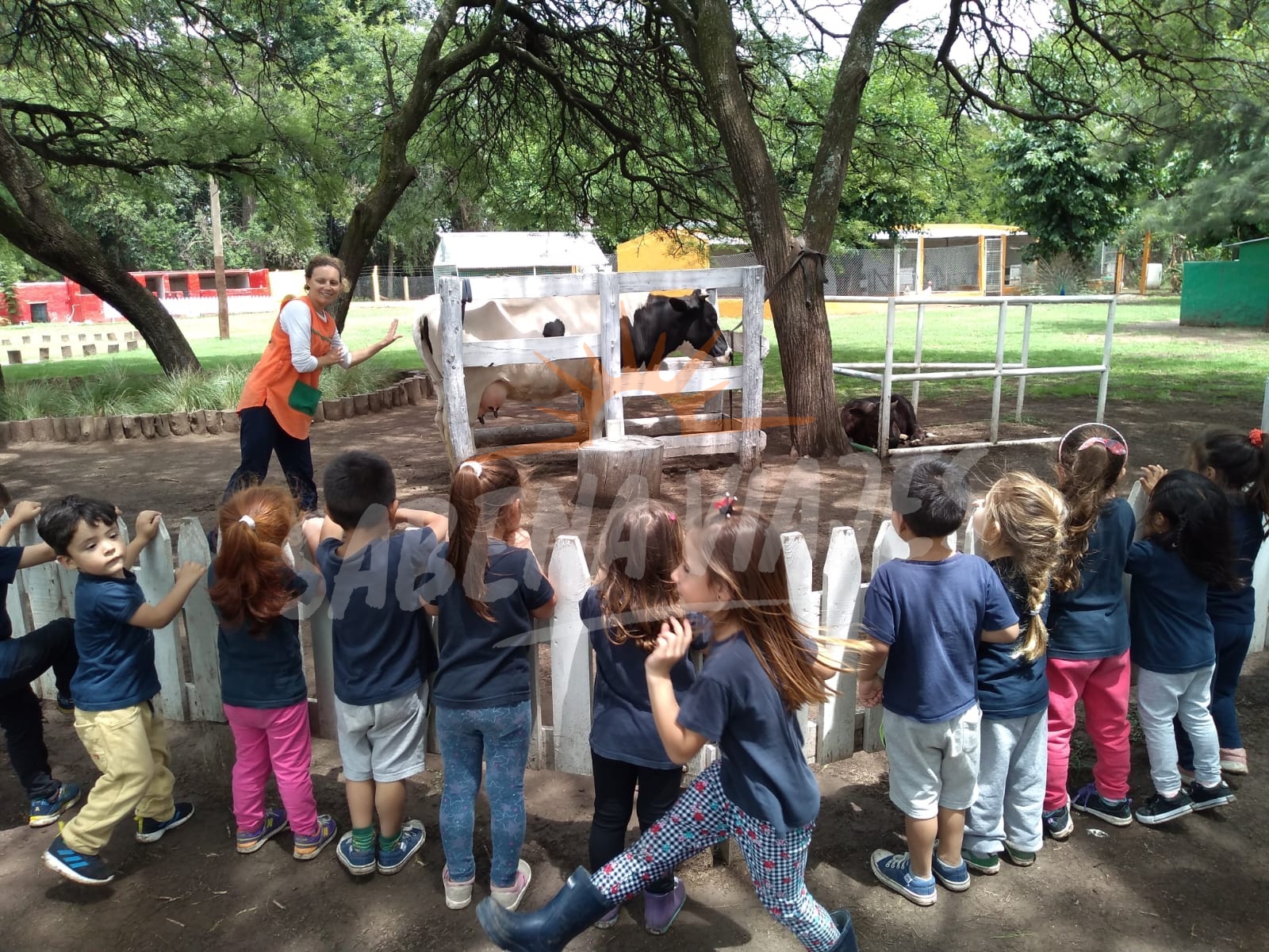 Foto de la excursión 2