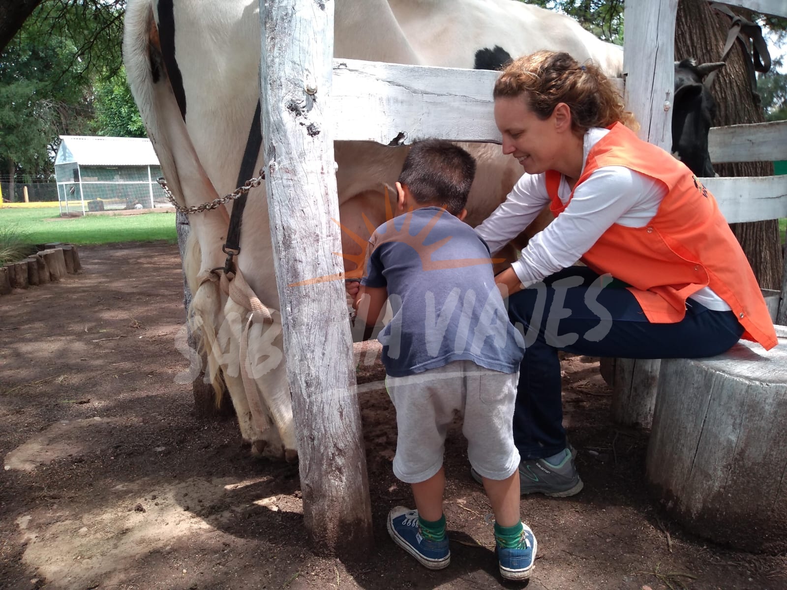 Foto de la excursión 3