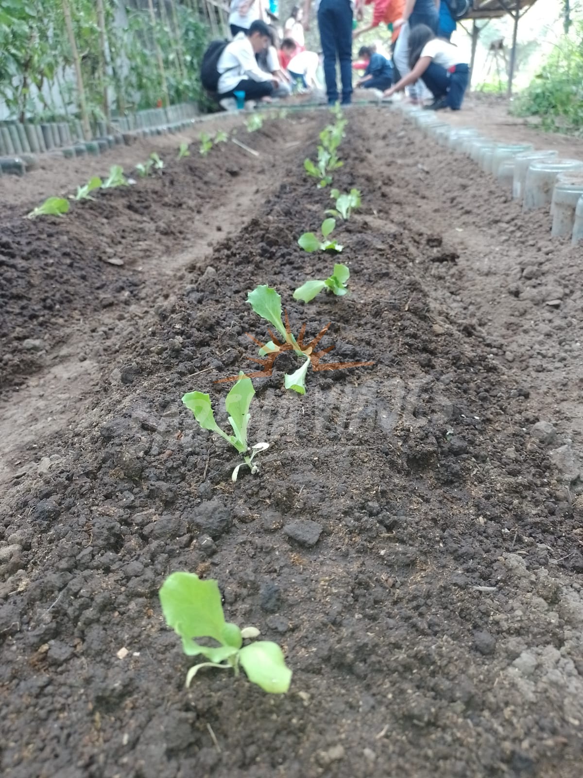 Imagen de la excursión 5