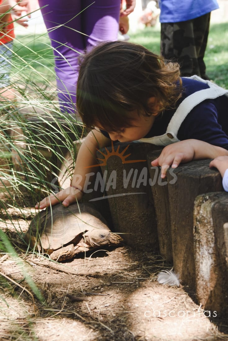 Imagen de la excursión 8