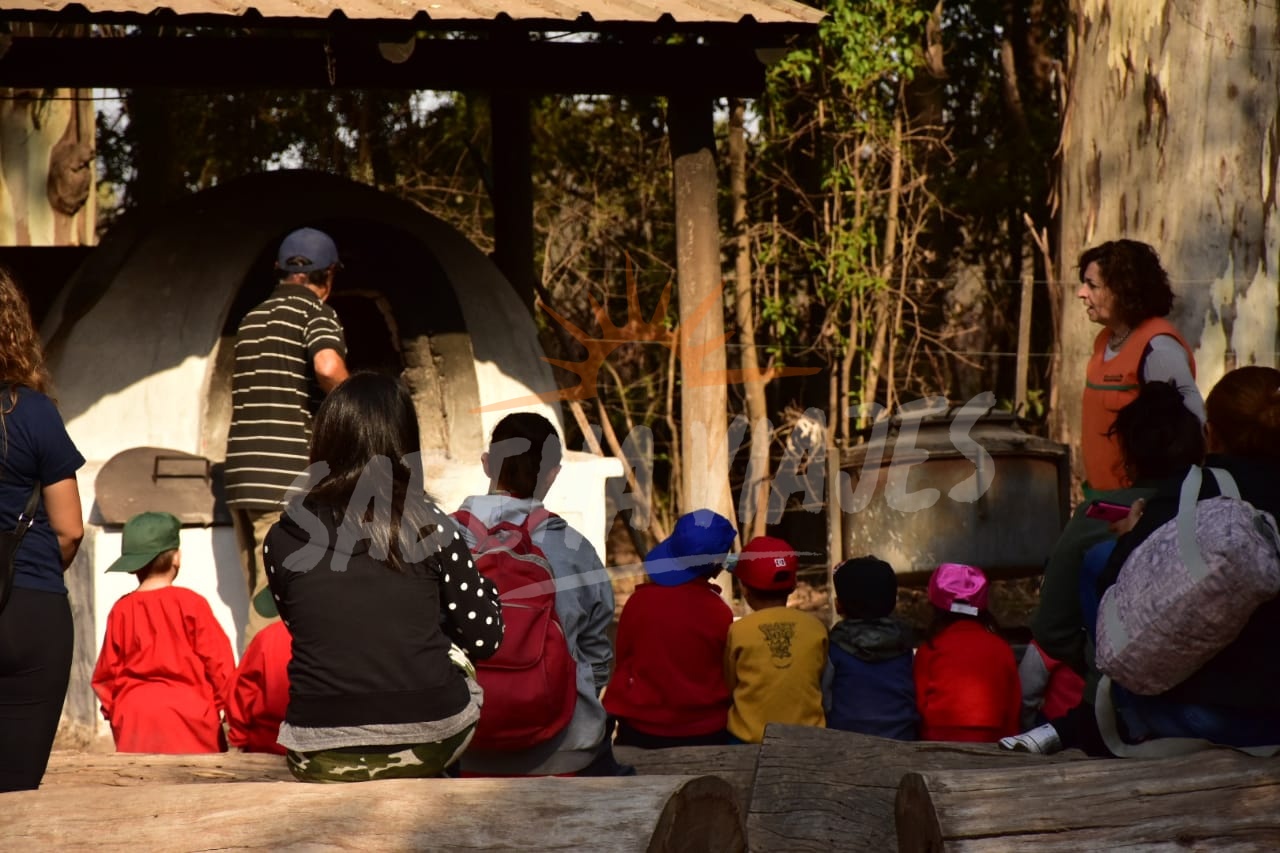 Imagen de la excursión 10