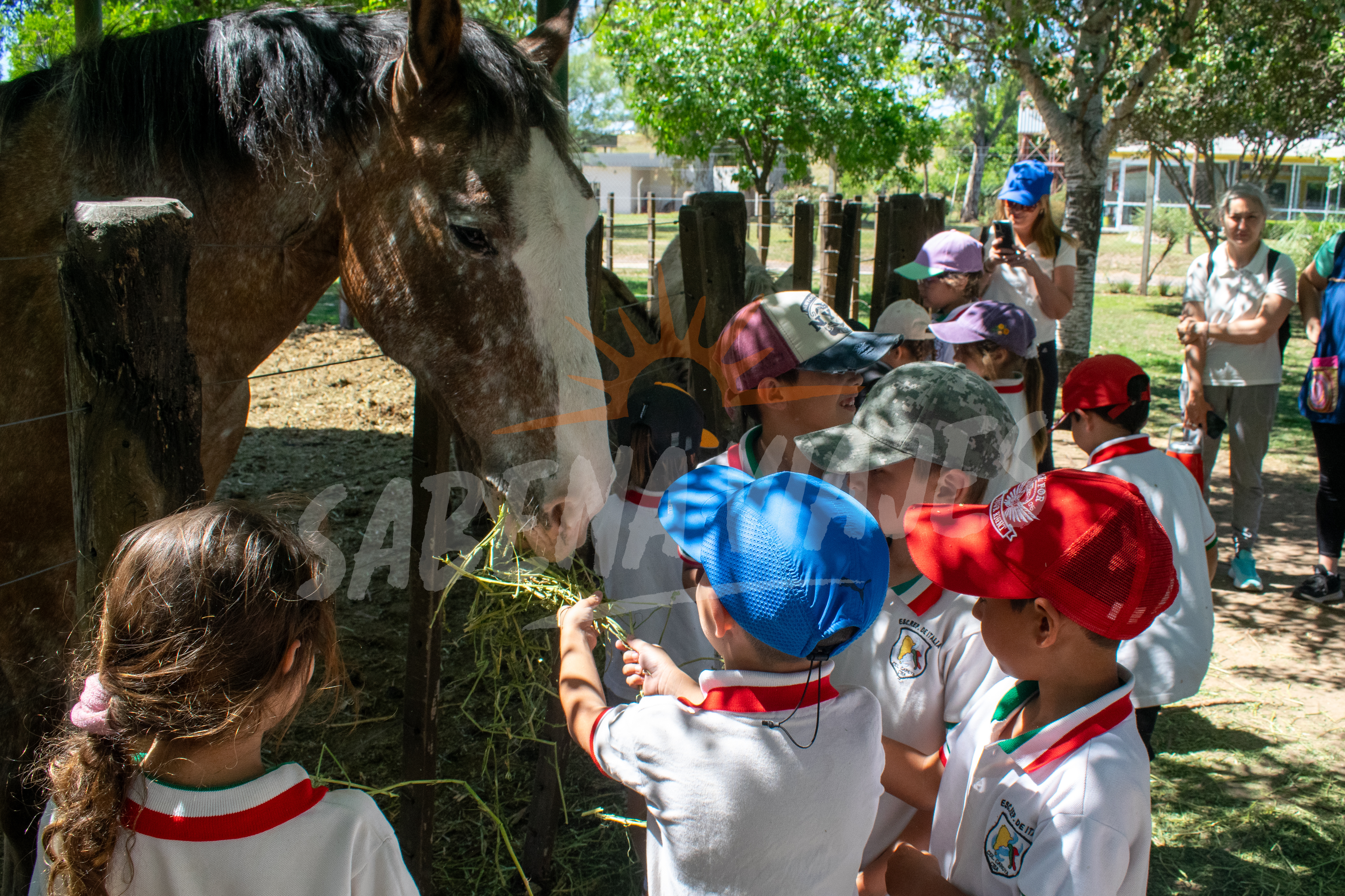 Foto de la excursión 2
