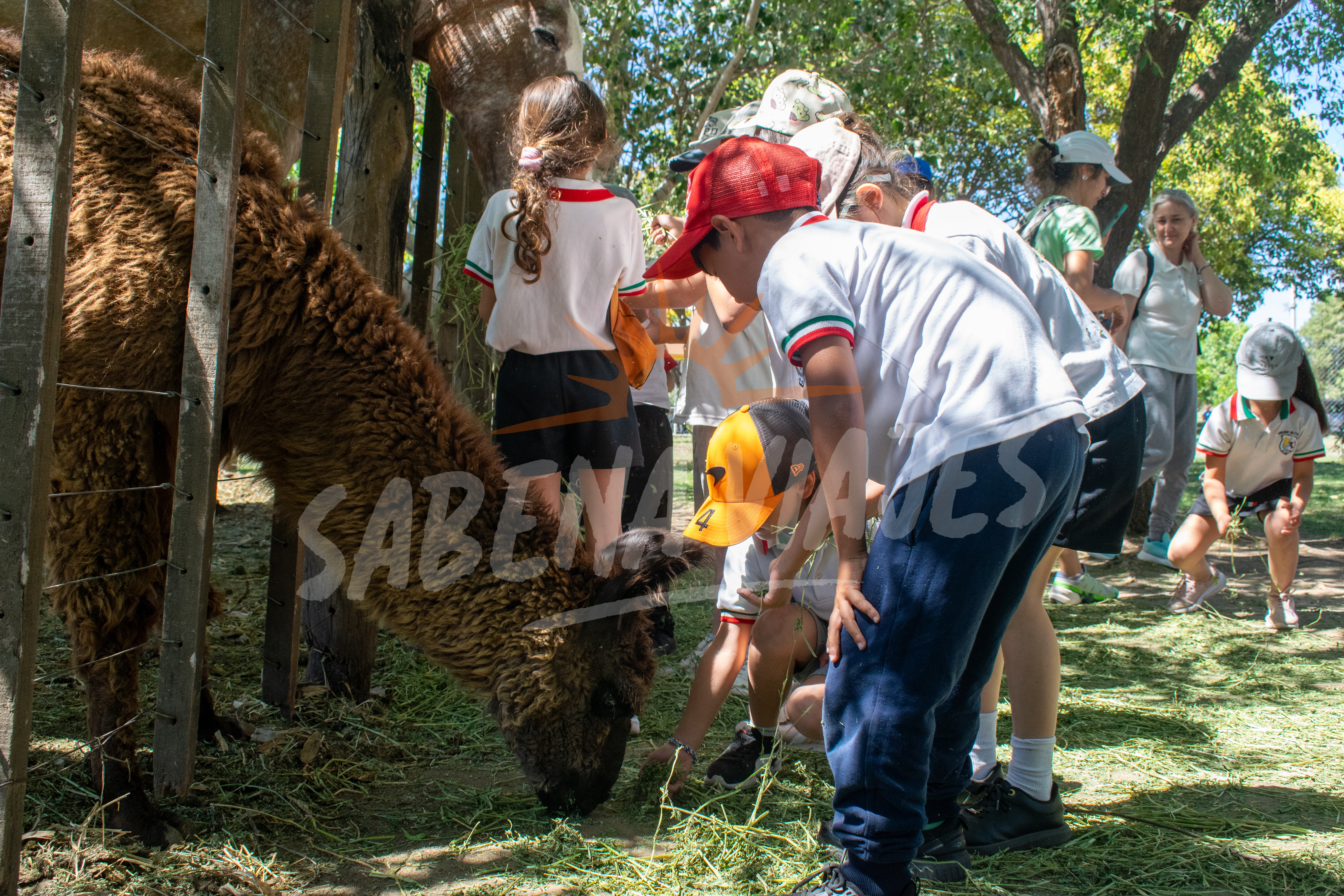 Foto de la excursión 3