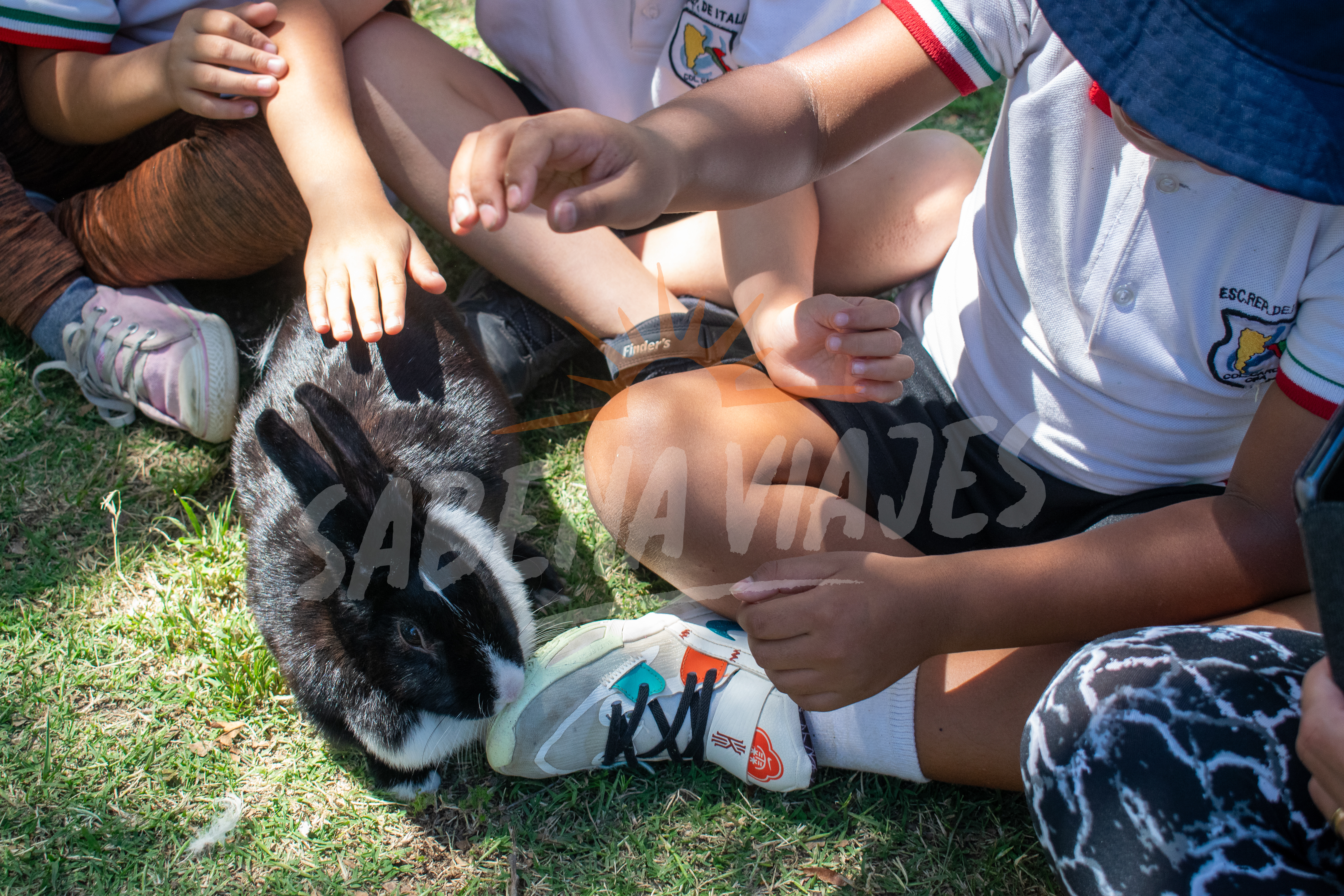 Imagen de la excursión 4