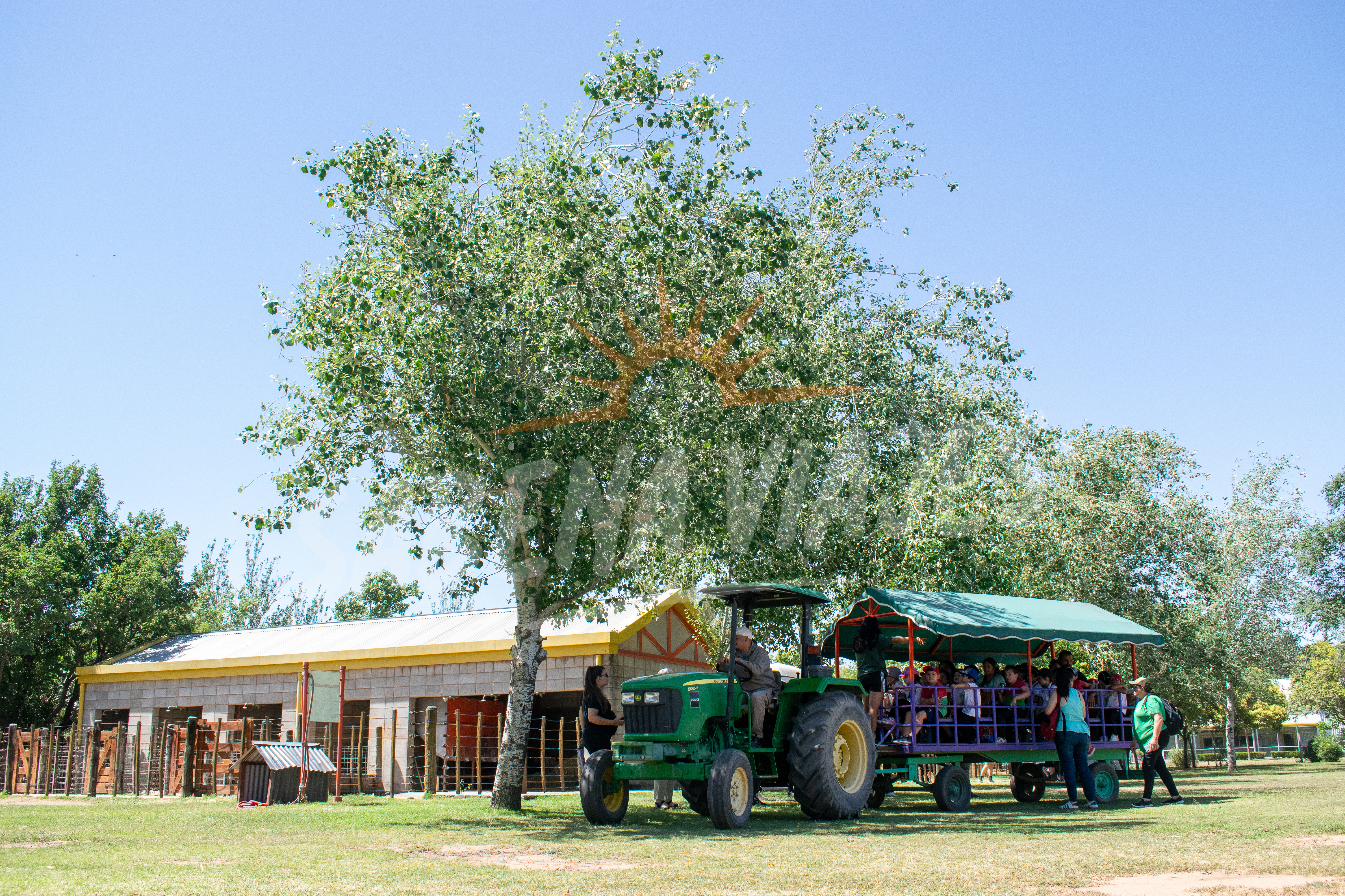 Imagen de la excursión 6