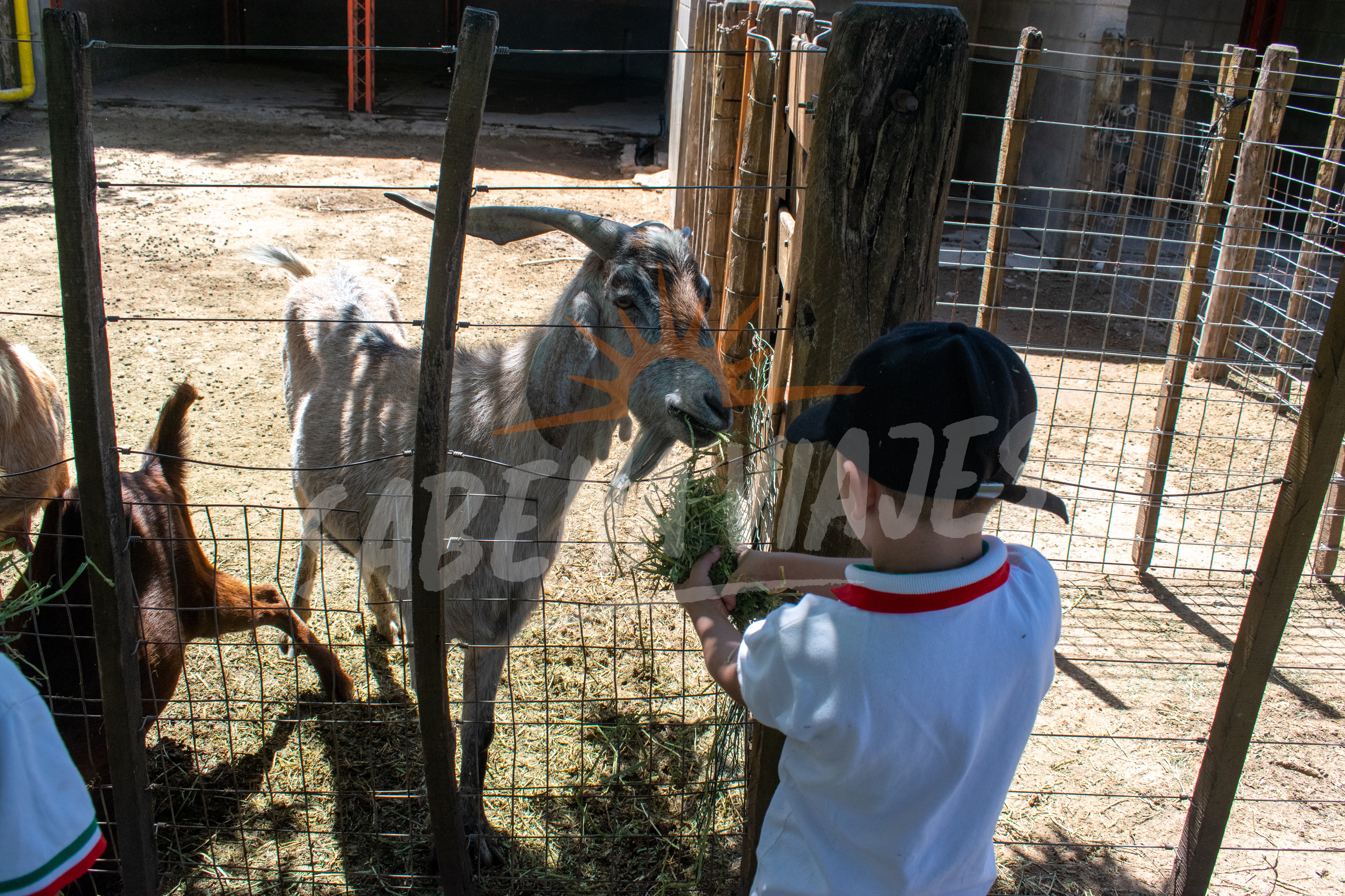 Imagen de la excursión 7