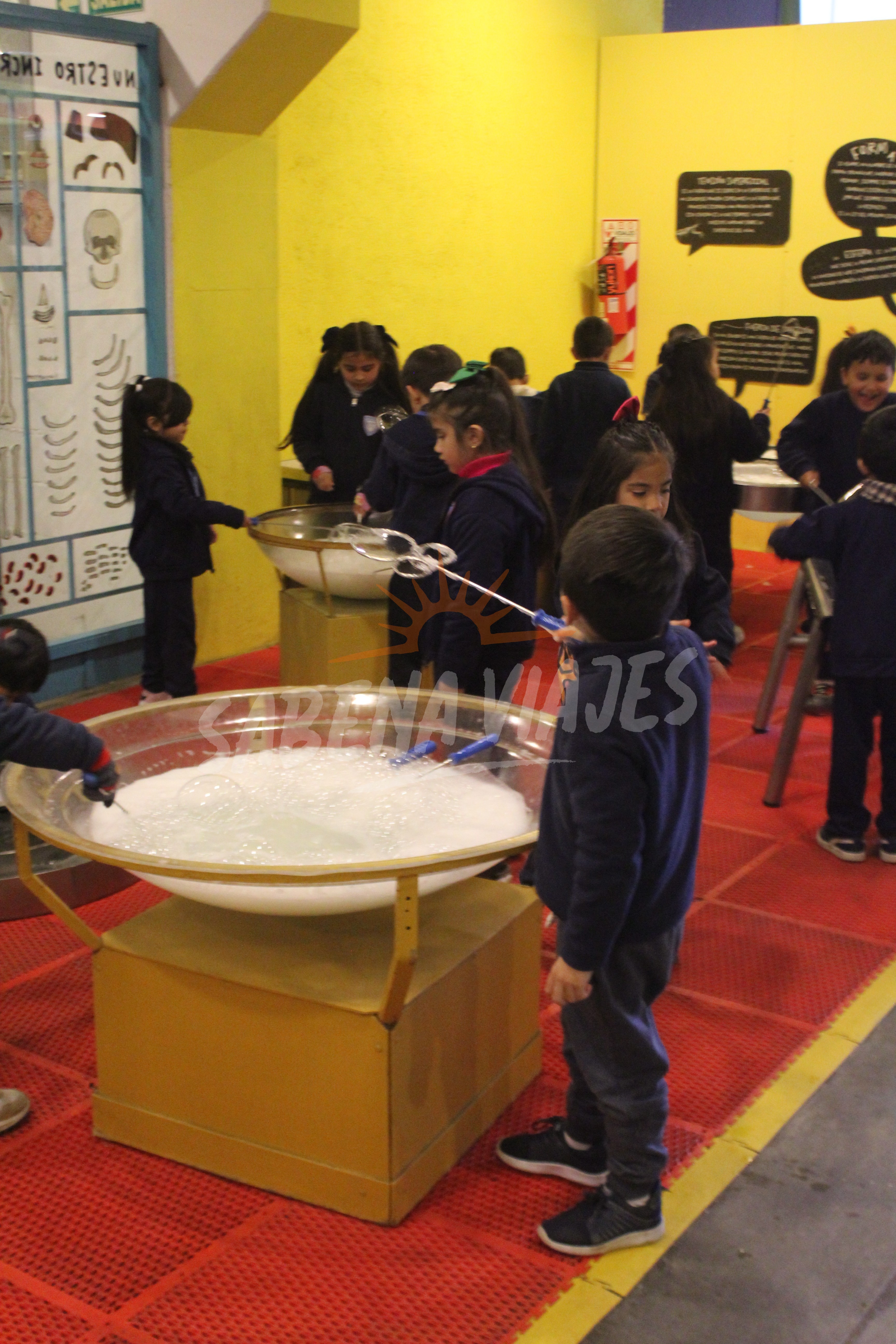 Imagen de la excursión 4