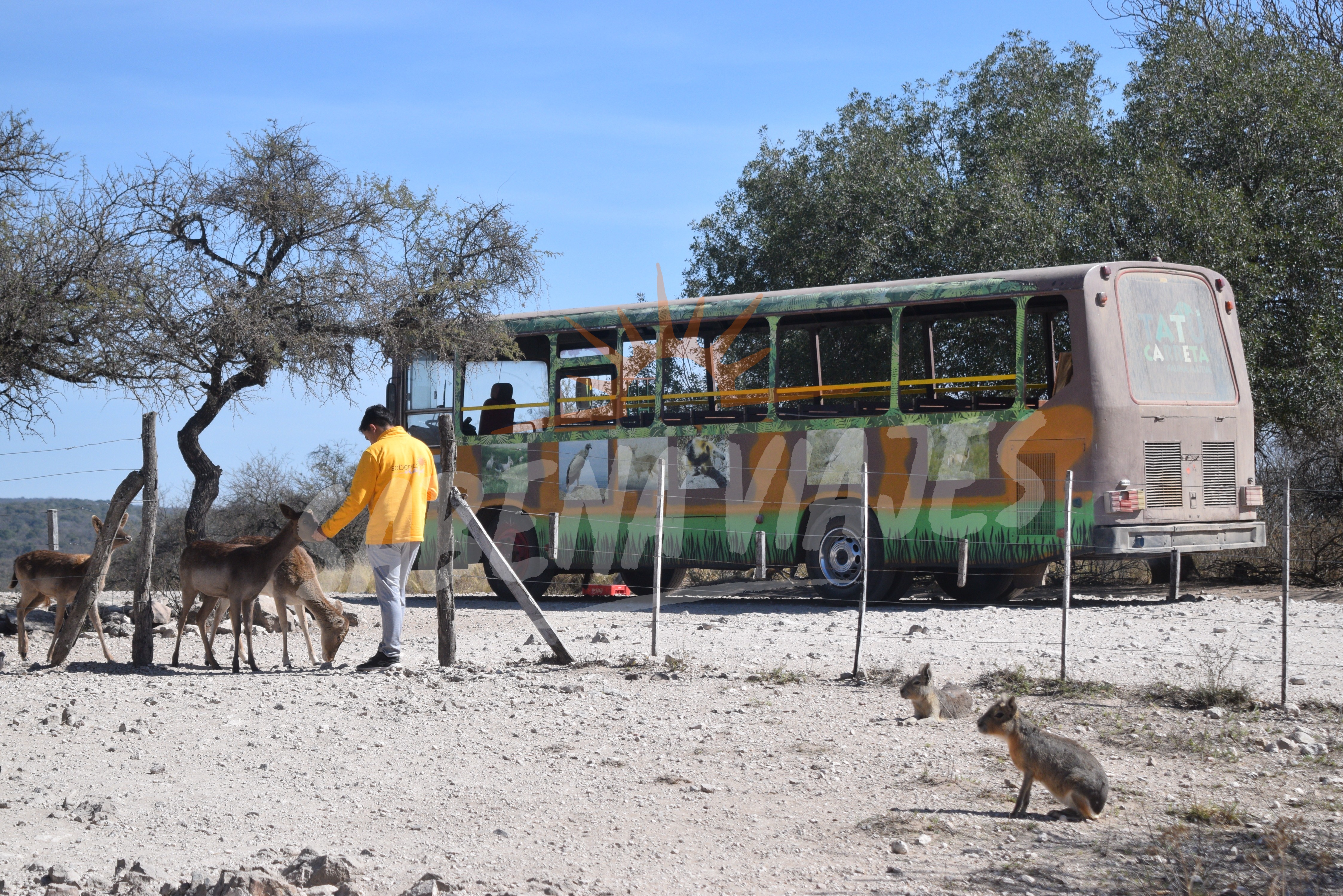 Foto de la excursión 2