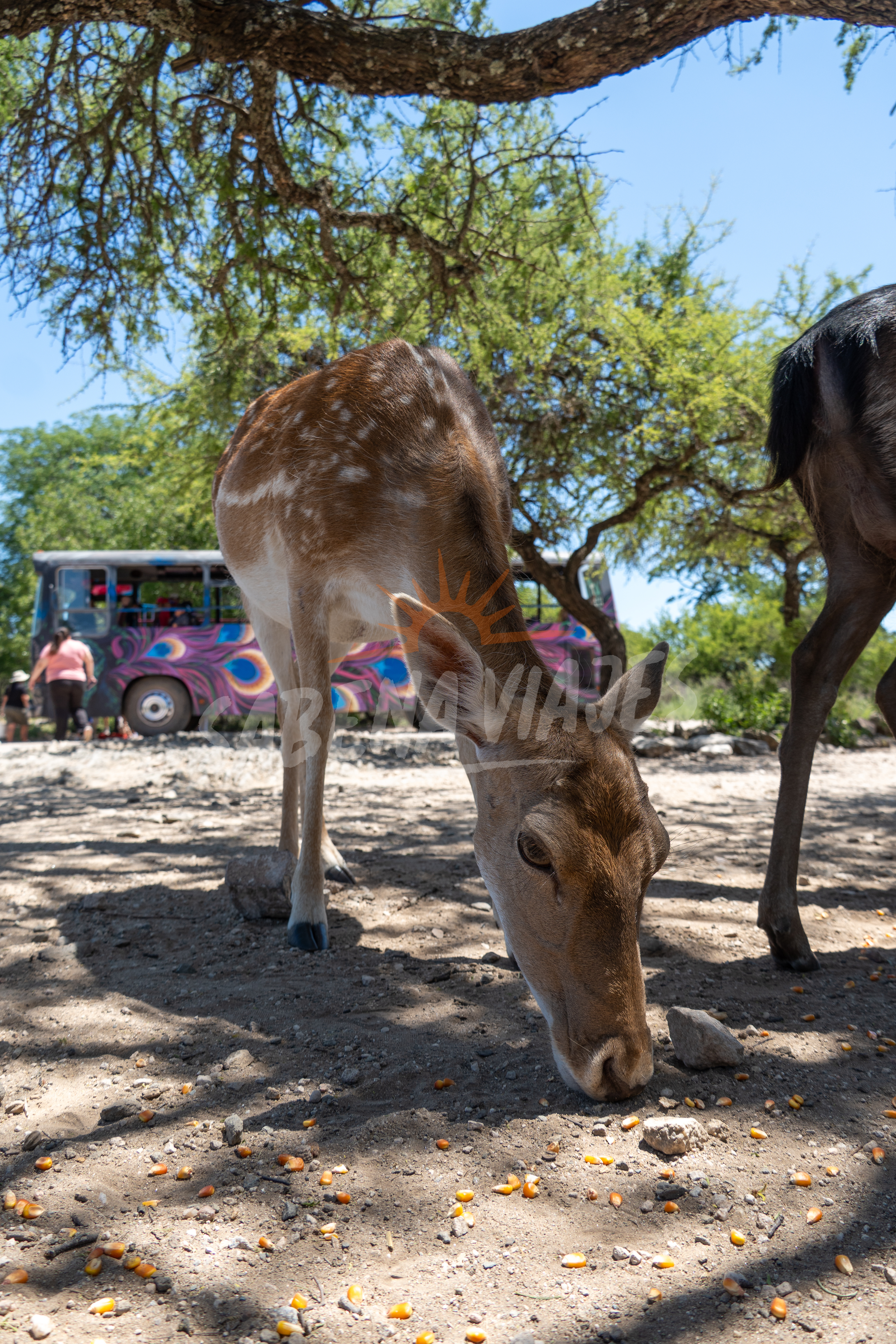 Imagen de la excursión 6