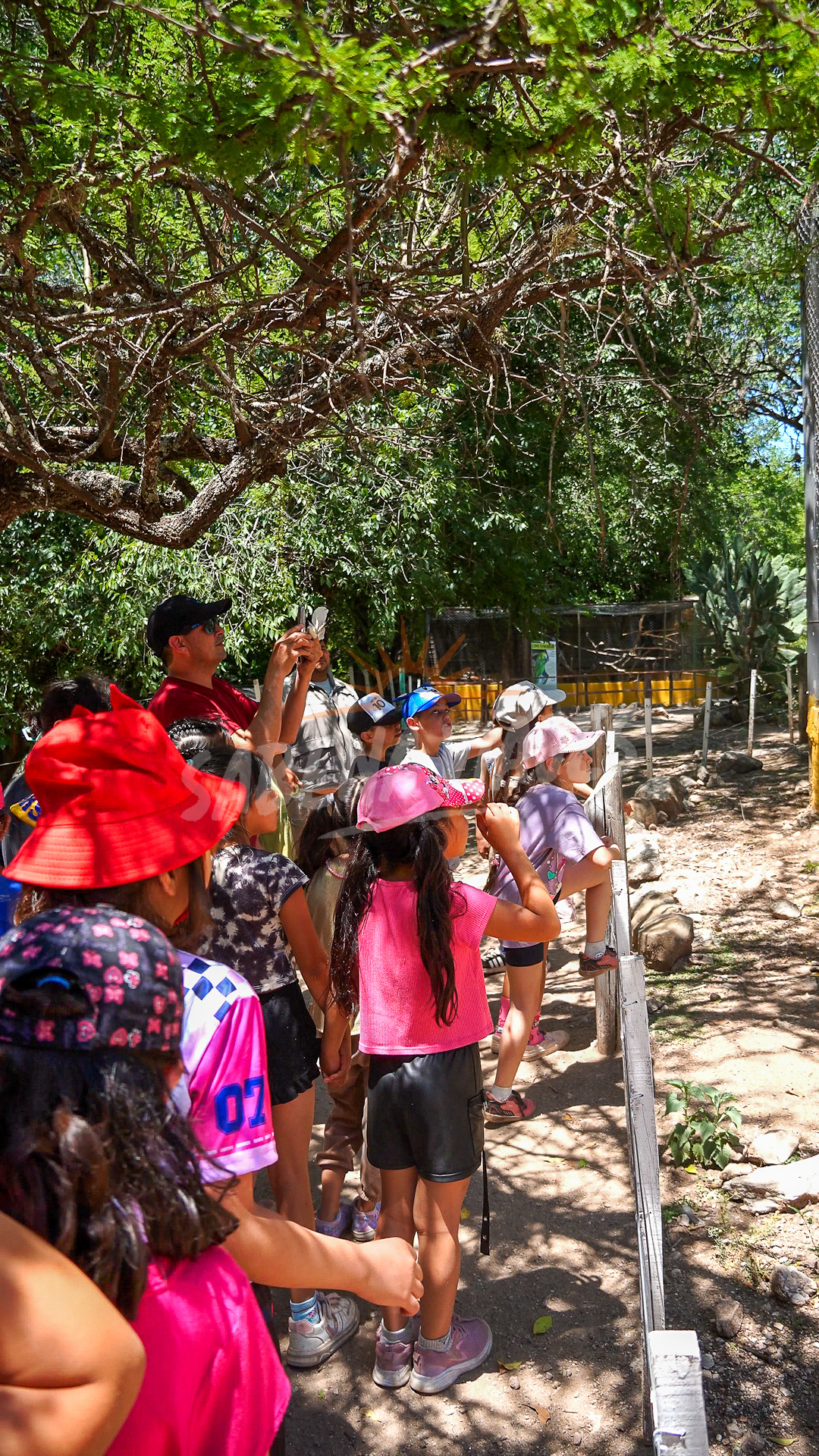 Imagen de la excursión 10