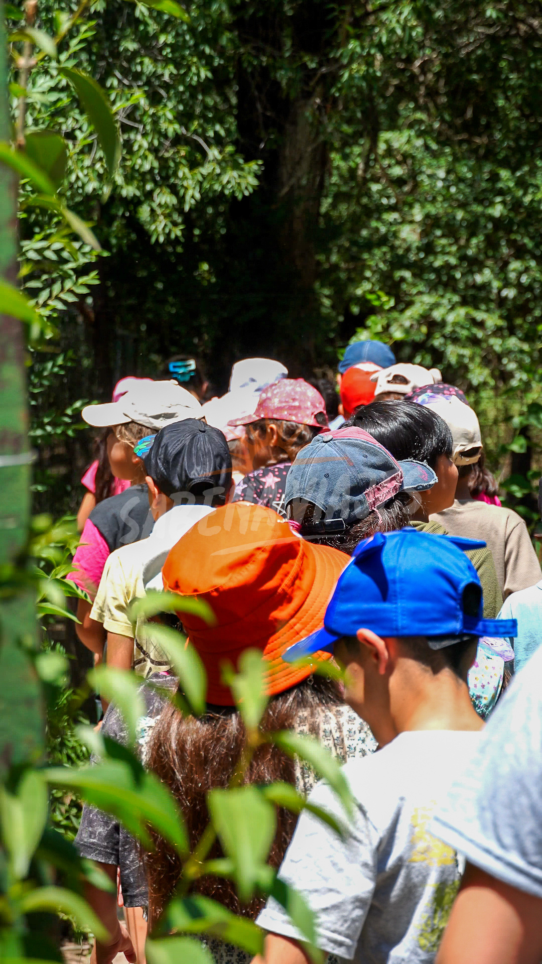 Imagen de la excursión 11